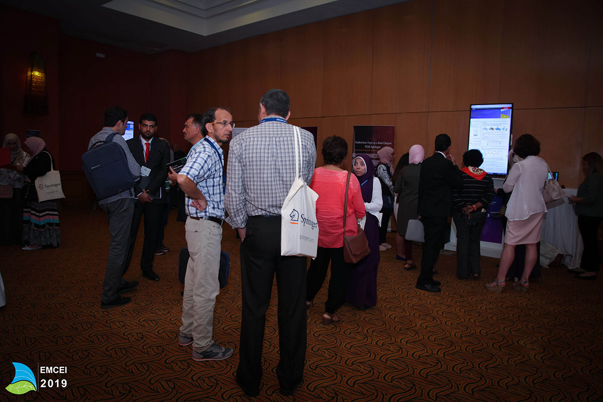 EMCEI 2019