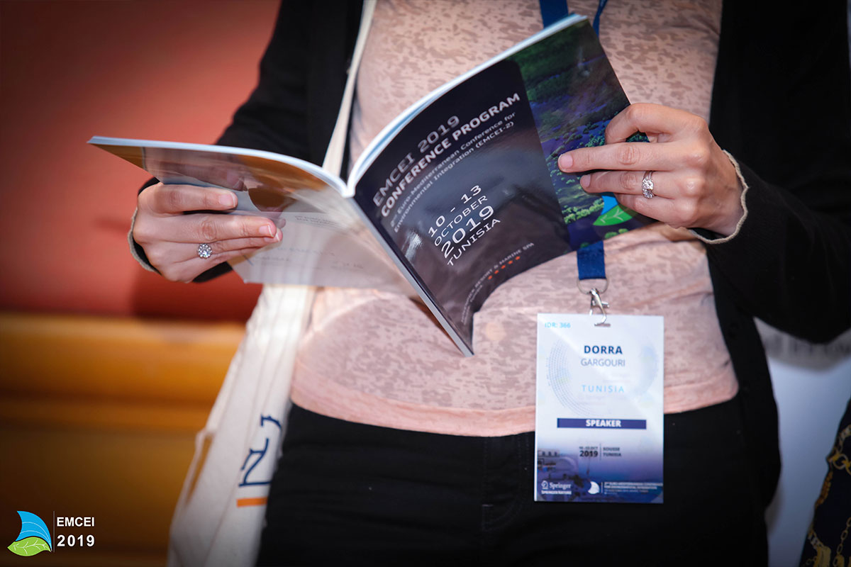 EMCEI 2019