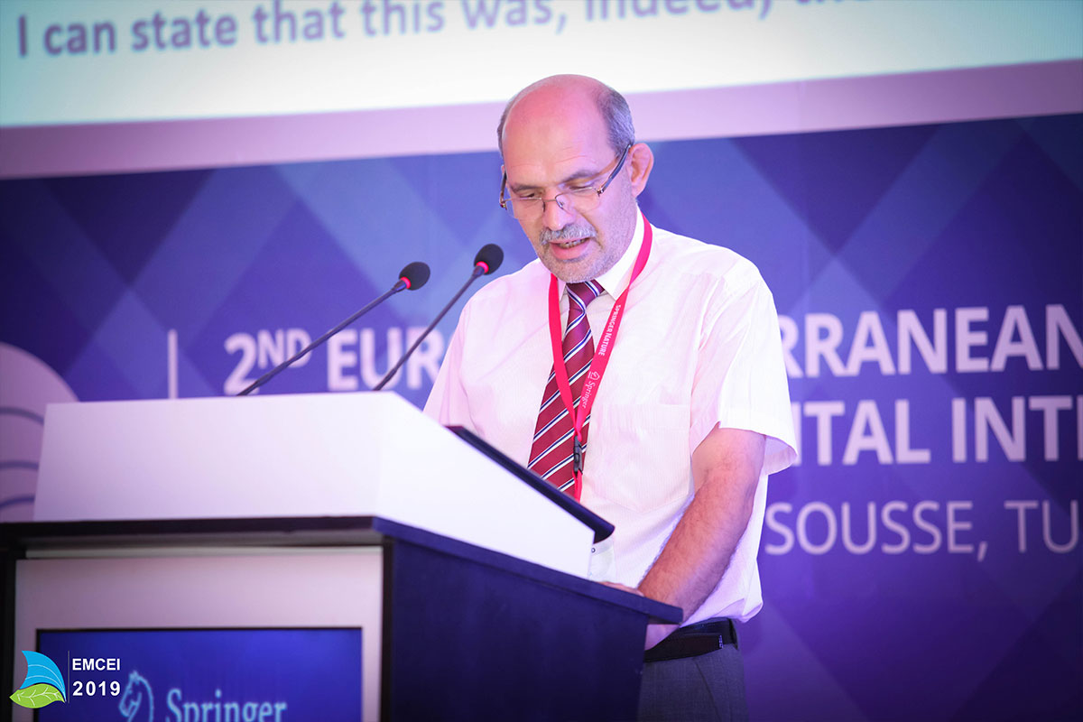 EMCEI 2019