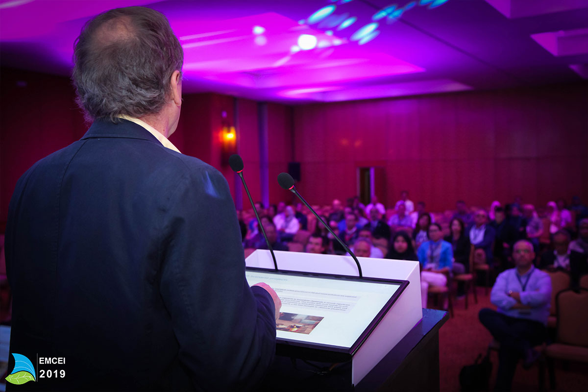 EMCEI 2019