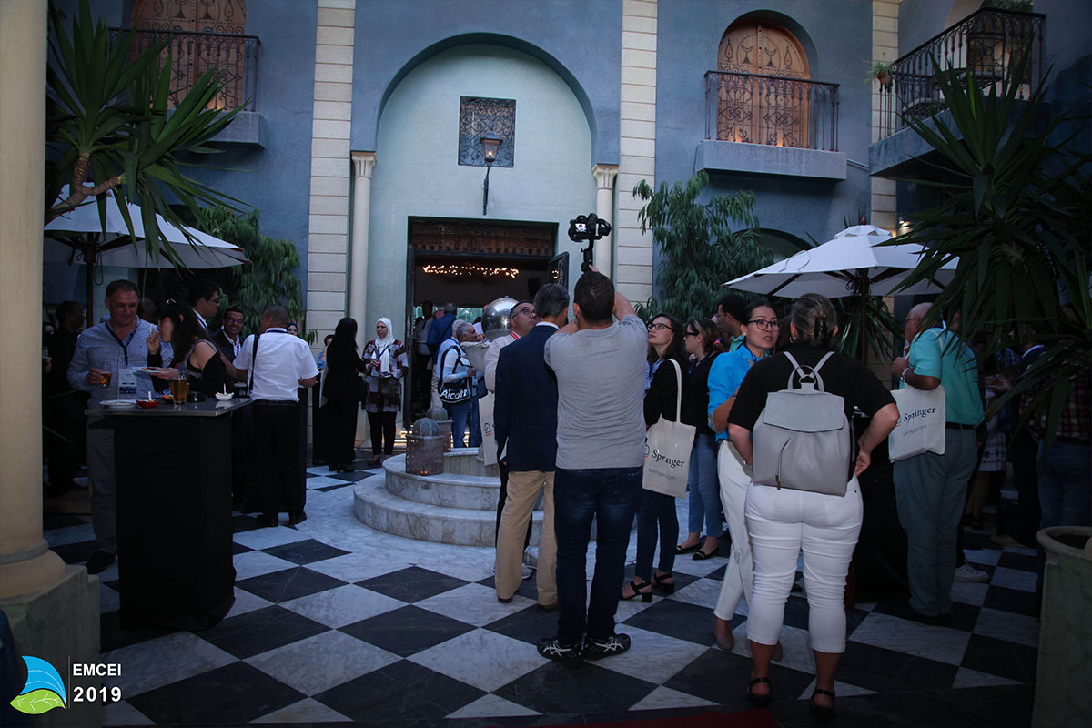 EMCEI 2019