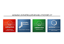 sinergie-calsystem